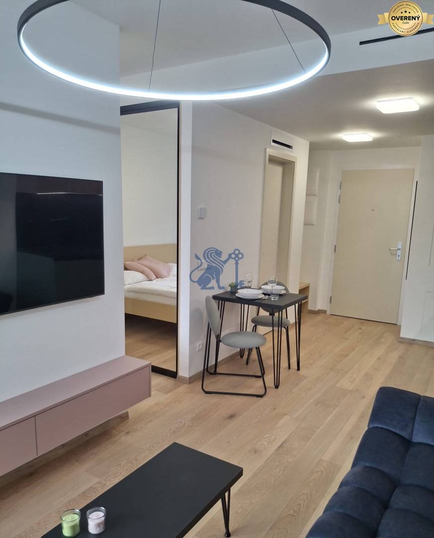 vydrica_1,5_izbovy_byt_prenajom (13).jpg