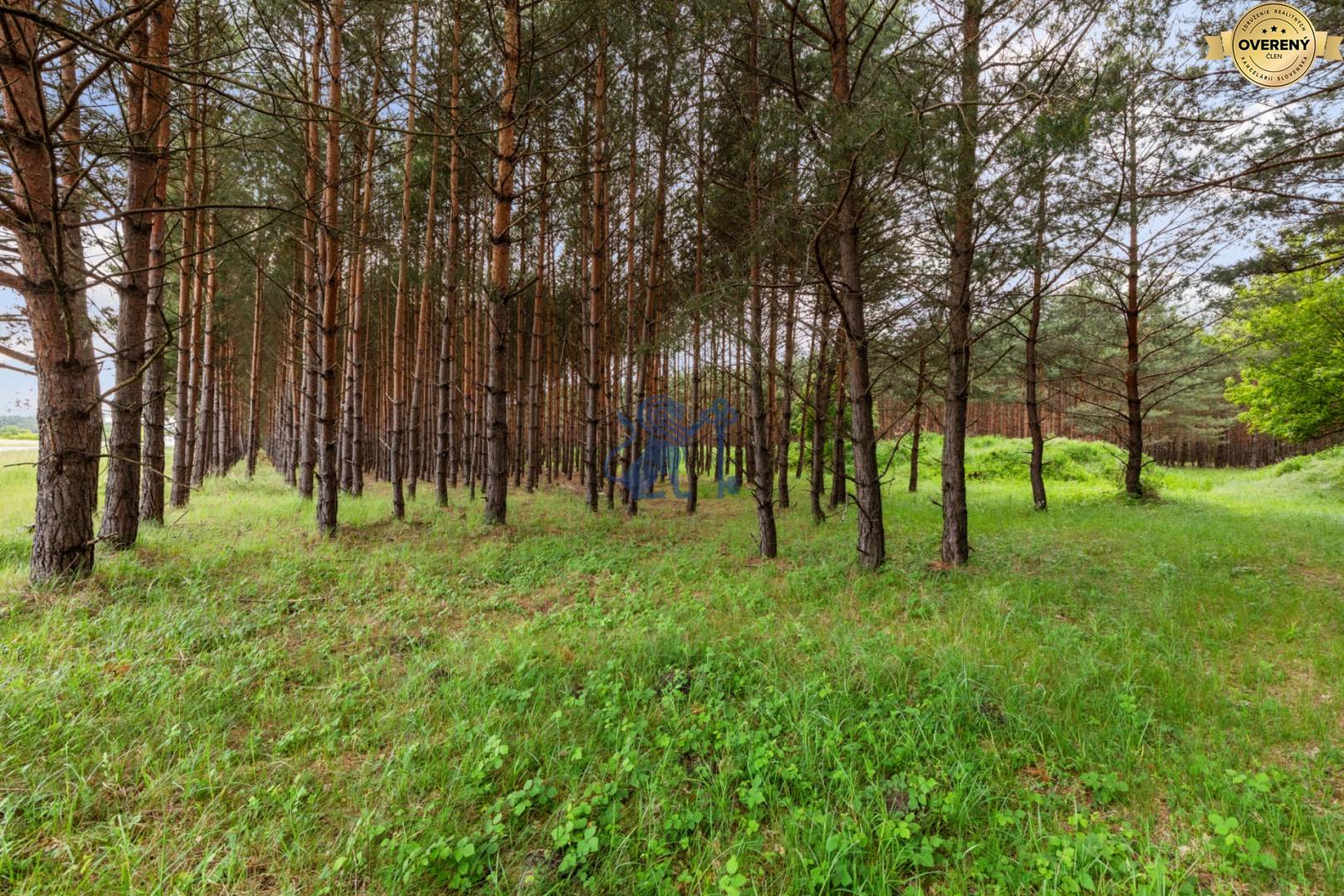 byty-malacky (8).jpg