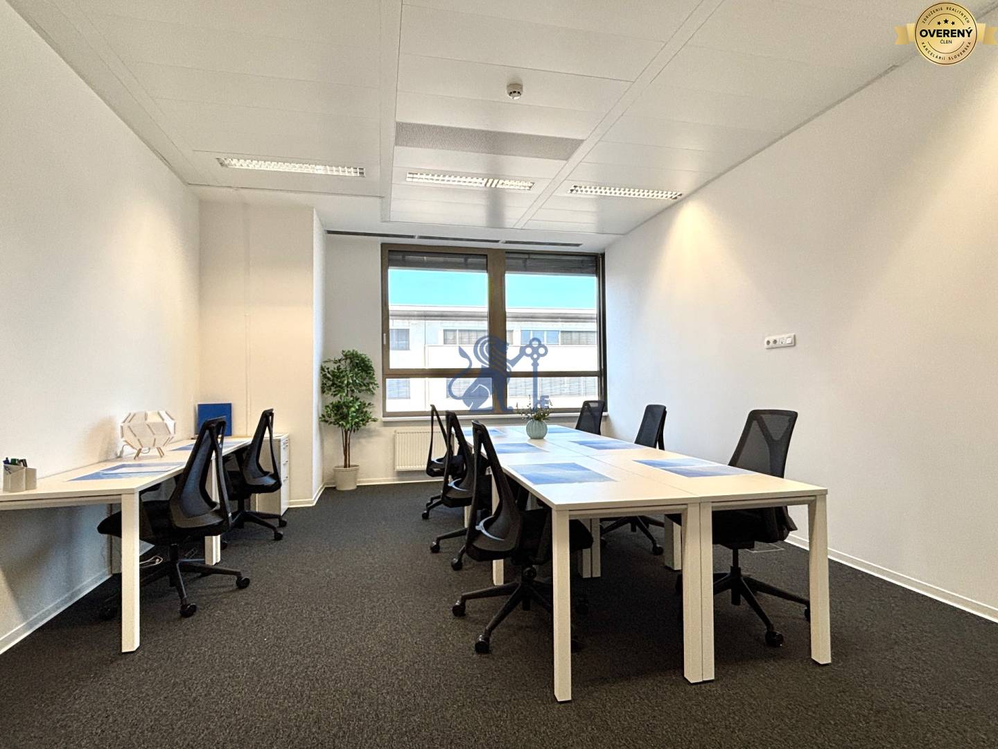 Galvaniho_kancelarie