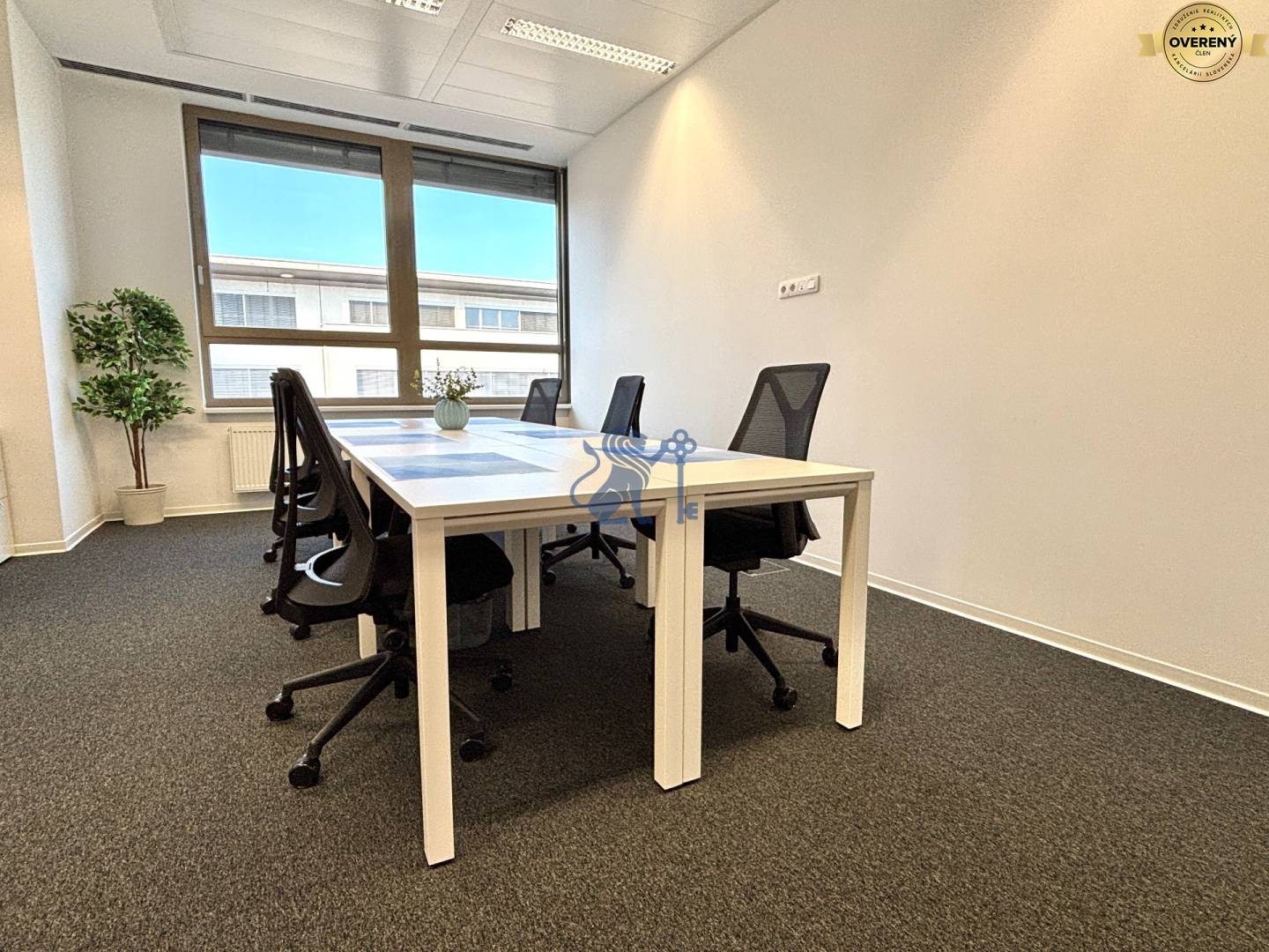 Galvaniho_kancelarie