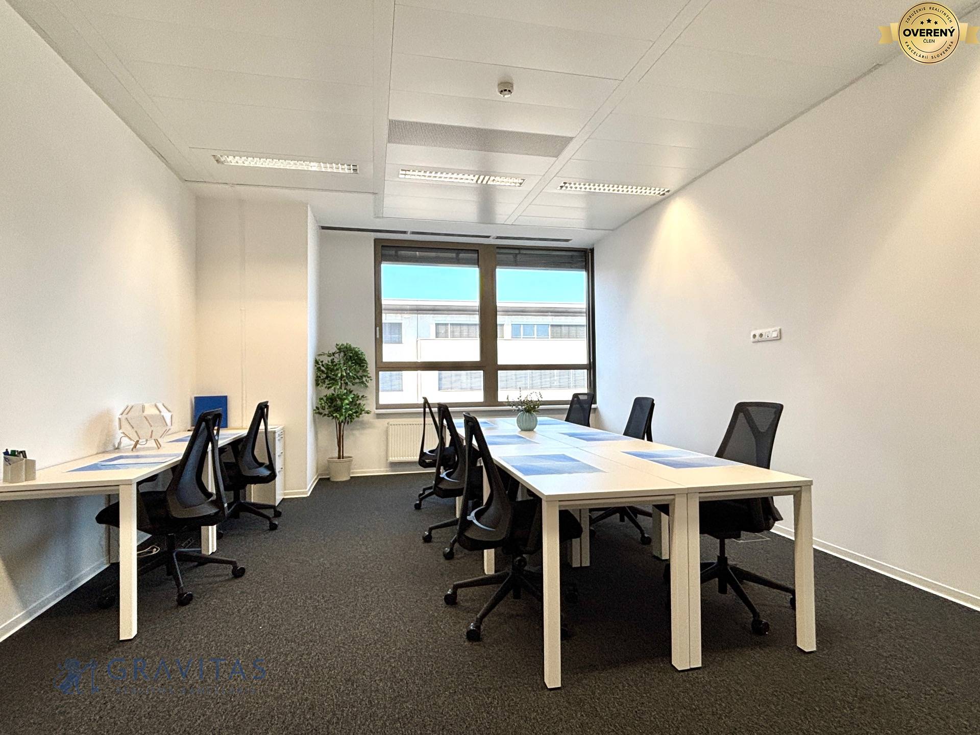 Galvaniho_kancelarie