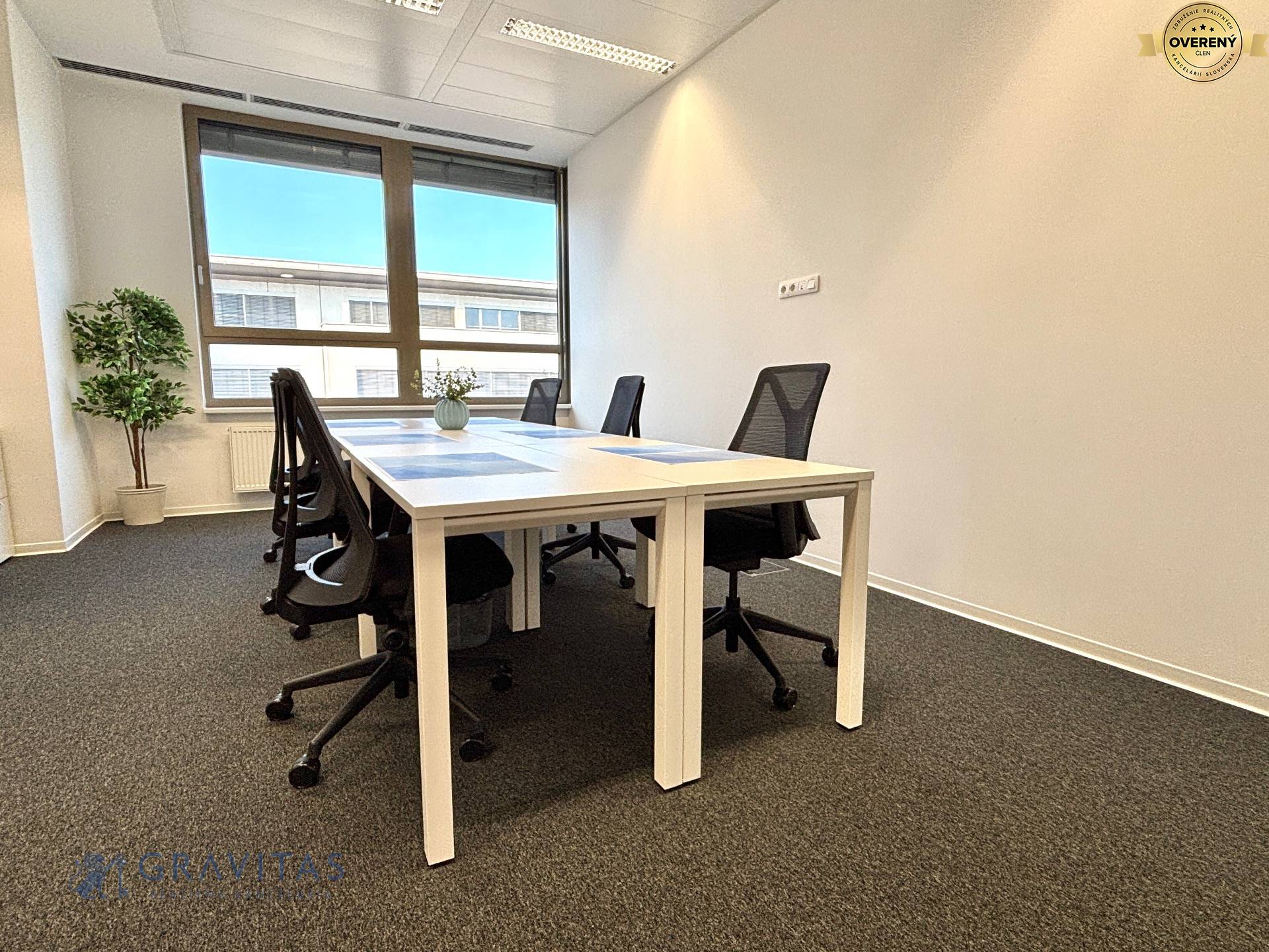 Galvaniho_kancelarie