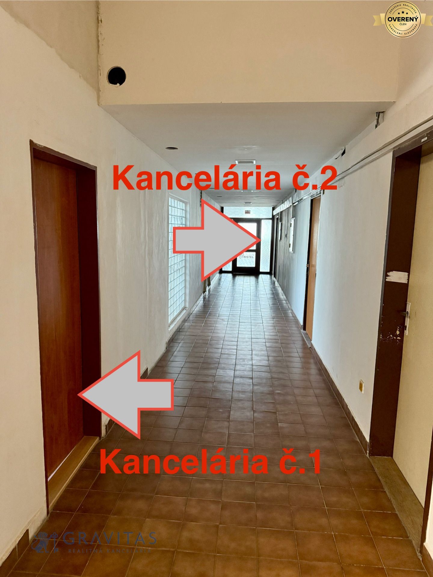IMG_3804.jpeg