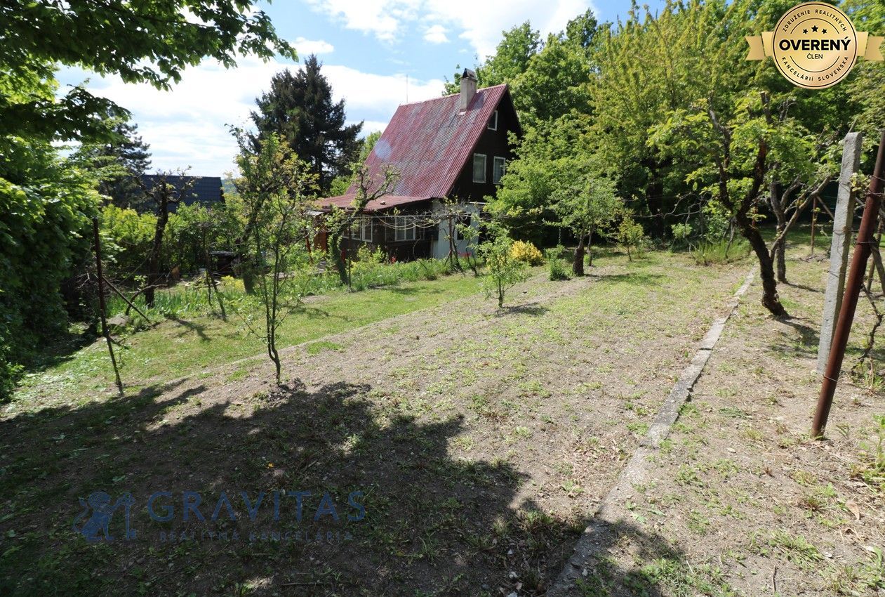 06.jpg