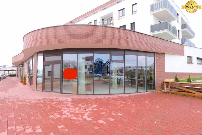 OP SENEC.jpeg