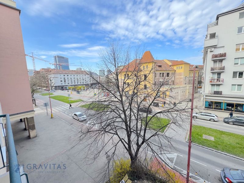 IMG_2333.jpeg