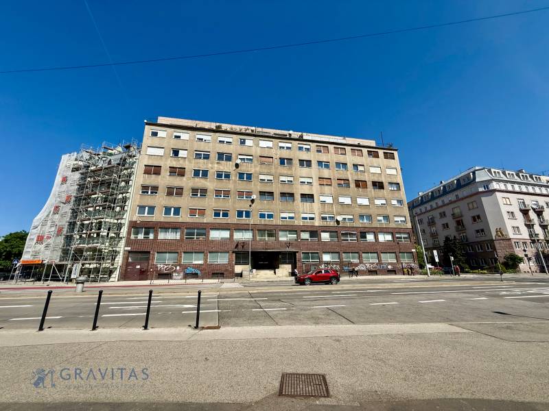 IMG_3825.jpeg