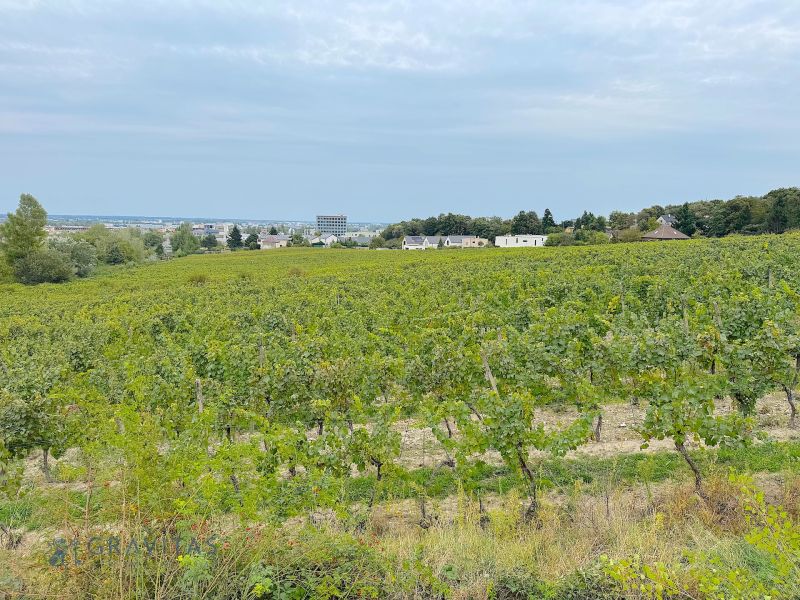 Výhľady