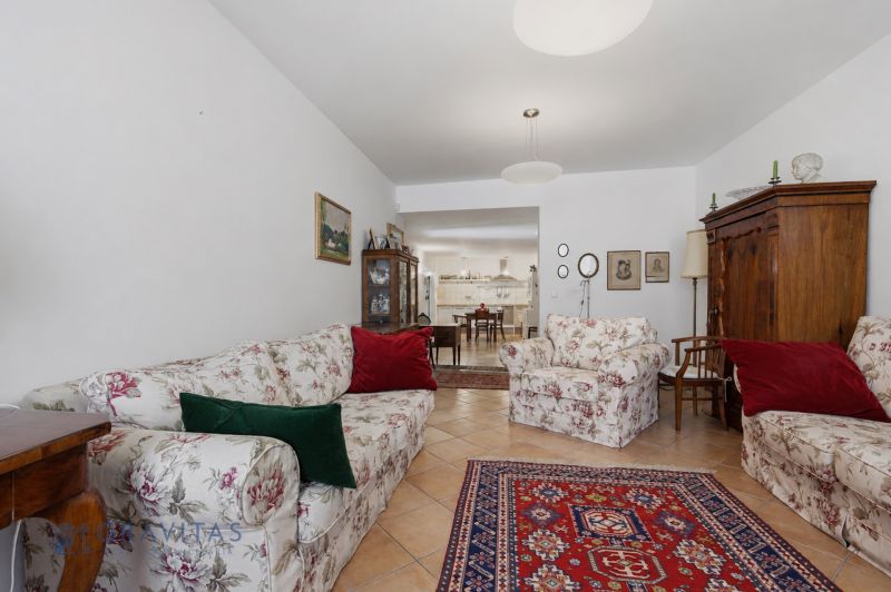 0E8A2233.jpg