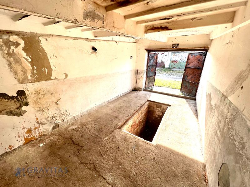 IMG_2519.jpg